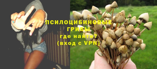 шишки Арсеньев