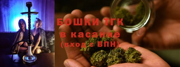 шишки Арсеньев