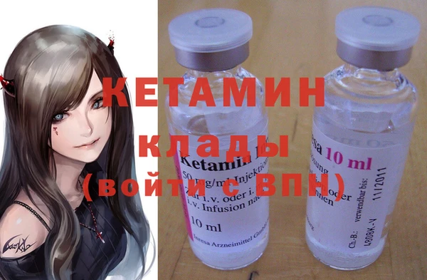 шишки Арсеньев