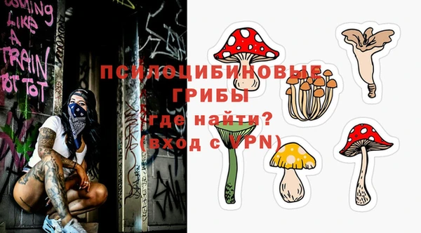 шишки Арсеньев