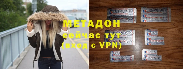 шишки Арсеньев