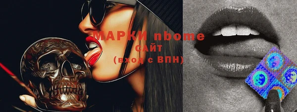 шишки Арсеньев
