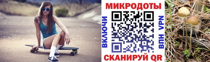 kraken ссылки продажа наркотиков Багратионовск Галлюциногенные грибы ЛСД