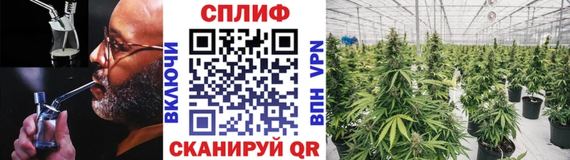купить наркотик  Багратионовск  kraken ССЫЛКА  Шишки марихуана индика 